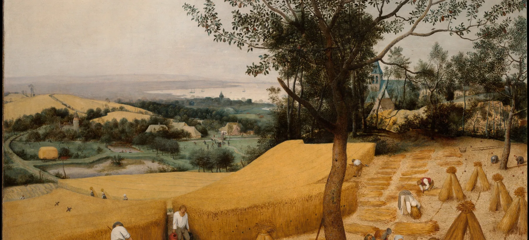 Bruegel: harvesters resting under a tree in a wheat field, eating and drinking together.